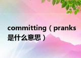 committing（pranks是什么意思）