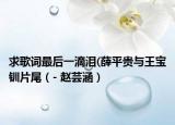 求歌词最后一滴泪(薛平贵与王宝钏片尾（- 赵芸涵）