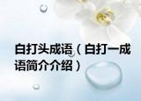 白打头成语（白打一成语简介介绍）