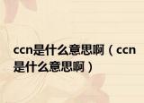 ccn是什么意思啊（ccn是什么意思啊）