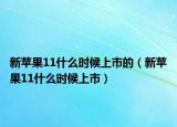 新苹果11什么时候上市的（新苹果11什么时候上市）