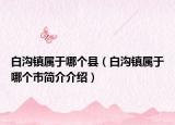 白沟镇属于哪个县（白沟镇属于哪个市简介介绍）