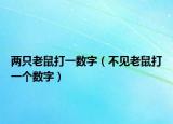 两只老鼠打一数字（不见老鼠打一个数字）
