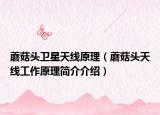 蘑菇头卫星天线原理（蘑菇头天线工作原理简介介绍）