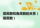 弧度数和角度数的关系（弧度数）