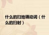 什么的扫地填动词（什么的扫射）
