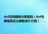 dnf怎样解除仓库密码（dnf仓库密码怎么解除简介介绍）