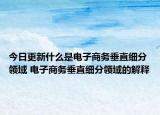 今日更新什么是电子商务垂直细分领域 电子商务垂直细分领域的解释
