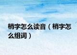 梢字怎么读音（梢字怎么组词）