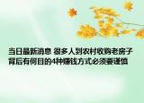 当日最新消息 很多人到农村收购老房子背后有何目的4种赚钱方式必须要谨慎