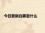 今日更新白薯是什么