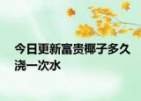 今日更新富贵椰子多久浇一次水