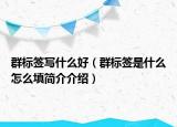 群标签写什么好（群标签是什么怎么填简介介绍）
