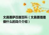 文昌菩萨百度百科（文昌菩提是做什么的简介介绍）