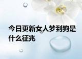 今日更新女人梦到狗是什么征兆