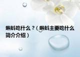 蝌蚪吃什么 ?（蝌蚪主要吃什么简介介绍）