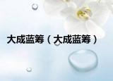 大成蓝筹（大成蓝筹）