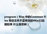 program（files 中的Common Files 有些文件不是有效的Win32应用程序 什么意思啊）