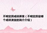 不明觉厉成语原意（不明觉厉是哪个成语演变的简介介绍）
