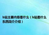 b站主要内容是什么（b站是什么东西简介介绍）