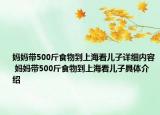 妈妈带500斤食物到上海看儿子详细内容 妈妈带500斤食物到上海看儿子具体介绍