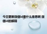今日更新微信id是什么意思啊 微信id的解释