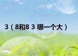 3（8和8 3 哪一个大）