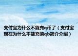支付宝为什么不能充q币了（支付宝现在为什么不能充值qb简介介绍）