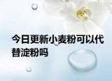 今日更新小麦粉可以代替淀粉吗