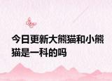 今日更新大熊猫和小熊猫是一科的吗