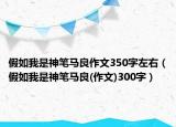 假如我是神笔马良作文350字左右（假如我是神笔马良(作文)300字）