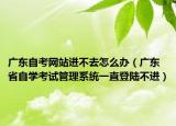广东自考网站进不去怎么办（广东省自学考试管理系统一直登陆不进）