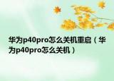 华为p40pro怎么关机重启（华为p40pro怎么关机）