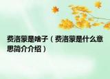 费洛蒙是啥子（费洛蒙是什么意思简介介绍）