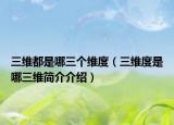 三维都是哪三个维度（三维度是哪三维简介介绍）