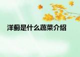 洋蓟是什么蔬菜介绍