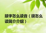 牍字怎么读音（牍怎么读简介介绍）