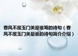 春风不度玉门关是谁写的诗句（春风不度玉门关是谁的诗句简介介绍）