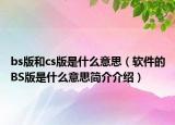 bs版和cs版是什么意思（软件的BS版是什么意思简介介绍）