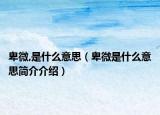 卑微,是什么意思（卑微是什么意思简介介绍）