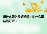 叫什么网名最好听呢（叫什么网名最好听）