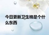 今日更新卫生棉是个什么东西