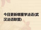 今日更新哪里学法语(武汉法语联盟)