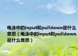 电泳中的input和pulldown是什么意思（电泳中的input和pulldown是什么意思）