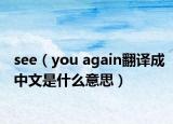 see（you again翻译成中文是什么意思）
