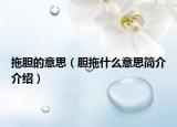 拖胆的意思（胆拖什么意思简介介绍）