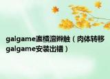 galgame瀛樻澶辫触（肉体转移galgame安装出错）