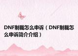 DNF制裁怎么申诉（DNF制裁怎么申诉简介介绍）