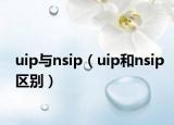 uip与nsip（uip和nsip区别）