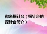 微米探针台（探针台的探针台简介）